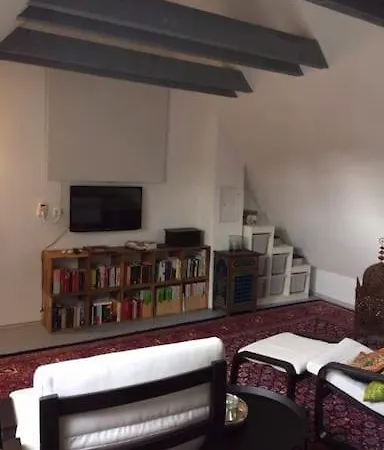 Geschmackvolles Dachstudio In Der Innenstadt Апартаменты *